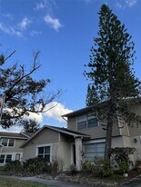 14627 Pine Glen Cir in Lutz, FL - Building Photo