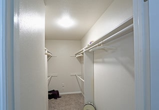 Turtle Creek Apartment Homes in Lutz, FL - Building Photo - Interior Photo