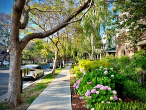 4370 Rivermark Pkwy in Santa Clara, CA - Foto de edificio - Building Photo