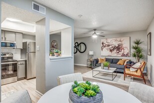 Raleigh At Towne Crossing in Mesquite, TX - Building Photo