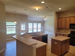 1010 Hannah Falls Ln in Fresno, TX - Building Photo - Building Photo
