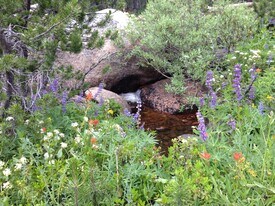 1714 13th St, Unit B