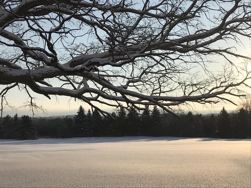 30320 Co Rd 13 in Burtrum, MN - Foto de edificio