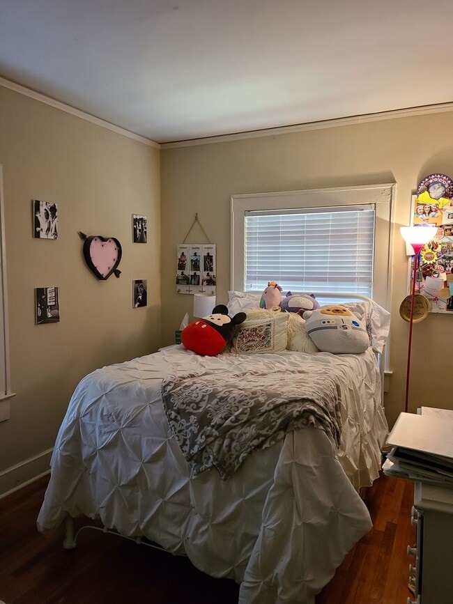 436 Wrights Mill Rd in Auburn, AL - Building Photo - Building Photo