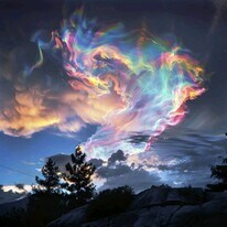 5824 Pine Lake Dr in Harrison, TN - Building Photo