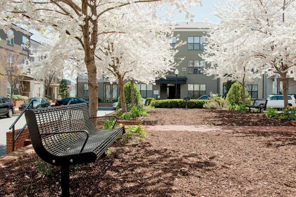 730 Walker Sq, Unit 1B in Charlottesville, VA - Foto de edificio - Building Photo