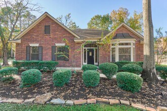 3 Amber Sky Pl in Spring, TX - Building Photo - Building Photo