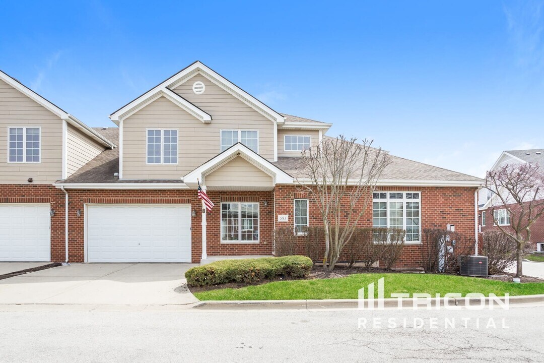 593 Prairie Crossing Dr in New Lenox, IL - Building Photo
