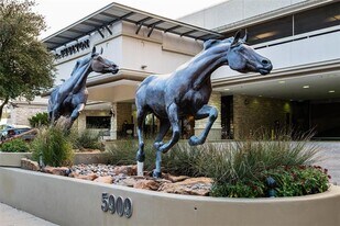 5909 Luther Ln in Dallas, TX - Building Photo