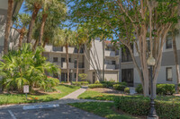 Rustlewood in Clearwater, FL - Foto de edificio - Building Photo