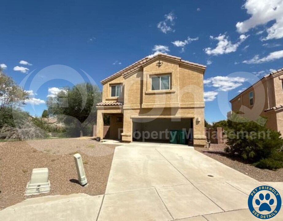 12272 W Reyher Farms Loop in Marana, AZ - Building Photo