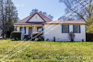 208 Spring St in Adamsville, AL - Building Photo