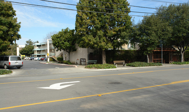 Stevenson House in Palo Alto, CA - Building Photo - Building Photo