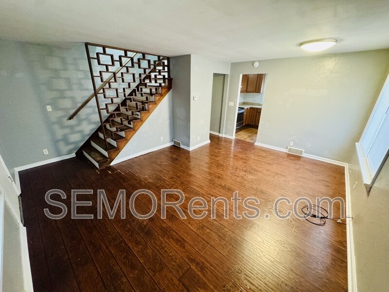 301 S Spring St in Cape Girardeau, MO - Building Photo