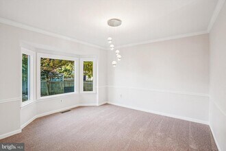 8803 Black Alder Dr in Alexandria, VA - Building Photo - Building Photo