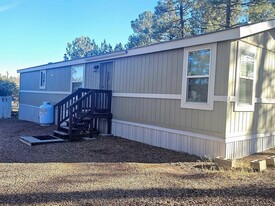 1001 E Owens in Show Low, AZ - Building Photo