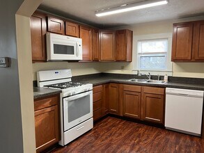 239 E Montrose St in Youngstown, OH - Foto de edificio - Building Photo