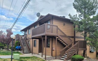 1400 Selmi Dr in Reno, NV - Building Photo