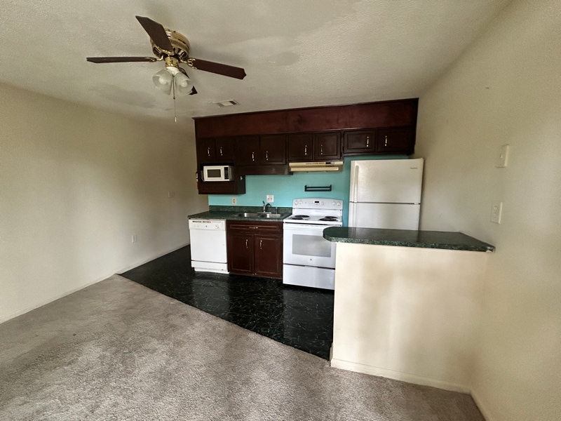 232 Lanier Dr in Statesboro, GA - Building Photo