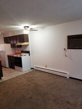 400 N Spring ave, Unit 3 in Sioux Falls, SD - Foto de edificio - Building Photo