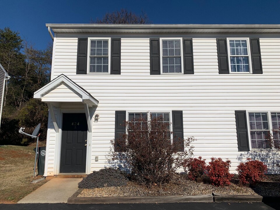 424 Three Creeks Ct in Lynchburg, VA - Building Photo