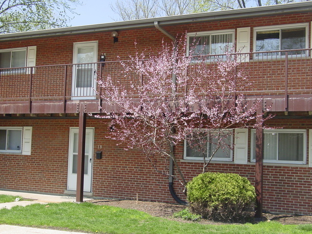 1810 W Hatherleigh Ct in Mount Prospect, IL - Building Photo