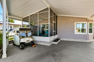116 Dolphin Dr S in Oldsmar, FL - Building Photo - Building Photo