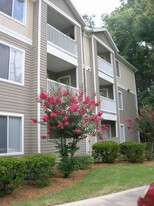 4000 SW 23rd St, Unit 1206 in Gainesville, FL - Building Photo - Building Photo