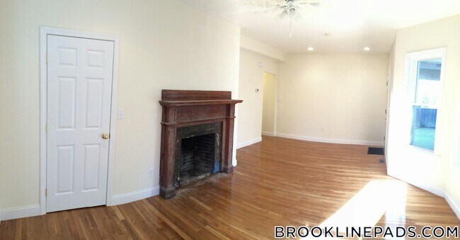 172 Fuller St in Brookline, MA - Building Photo - Building Photo