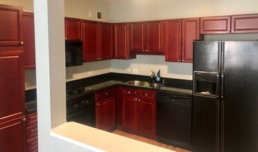 55 W Delaware Pl, Unit 55 W Delaware XL 1B in Chicago, IL - Building Photo - Building Photo