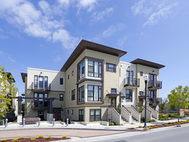 Meadow Walk Apartments