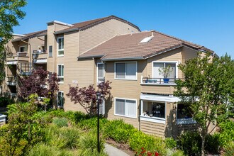 Arcadian in Concord, CA - Building Photo - Building Photo