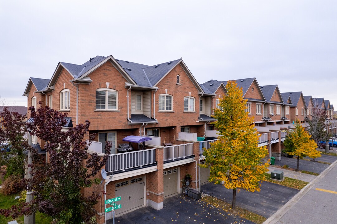 41 Bellhaven Cres in Brampton, ON - Building Photo
