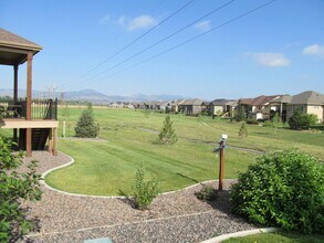 3561 Peruvian Torch Dr in Loveland, CO - Building Photo - Building Photo