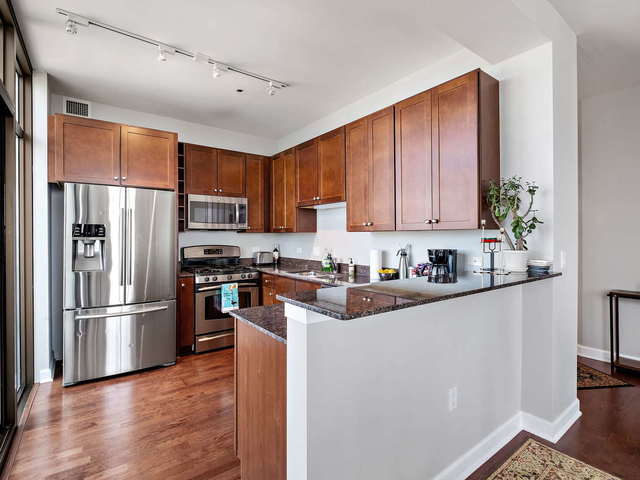 233 E 13th St, Unit 2501 in Chicago, IL - Foto de edificio - Building Photo