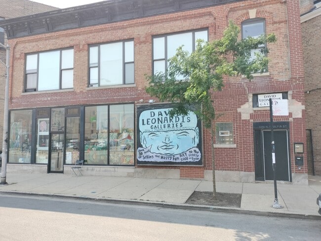 1346 N Paulina St in Chicago, IL - Building Photo - Building Photo