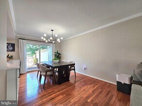 5988 Queenston St in West Springfield, VA - Building Photo - Building Photo