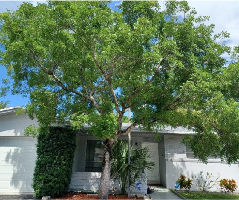 401 N 57th Ave in Hollywood, FL - Building Photo