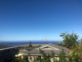 74-5061-5061 Palani Rd in Kailua Kona, HI - Building Photo