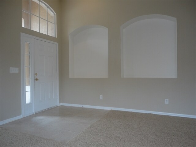 8807 Sandy Plains Dr in Riverview, FL - Building Photo - Building Photo