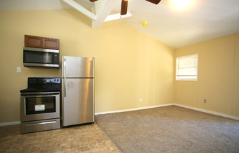 326 Mill St in Denton, TX - Building Photo - Interior Photo