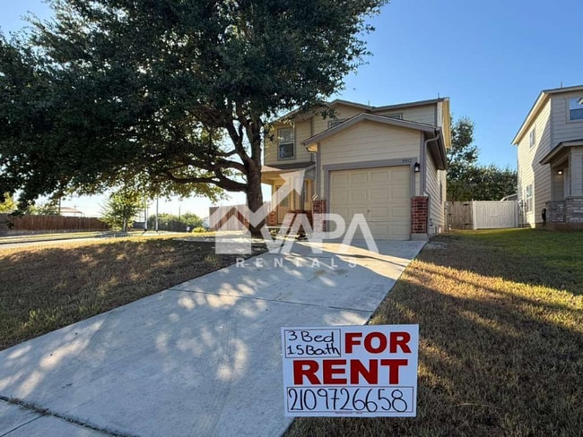 property at 9902 Hawksbill Peak