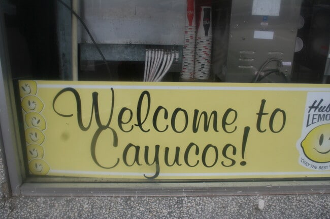 3133 Ocean Blvd in Cayucos, CA - Building Photo - Building Photo