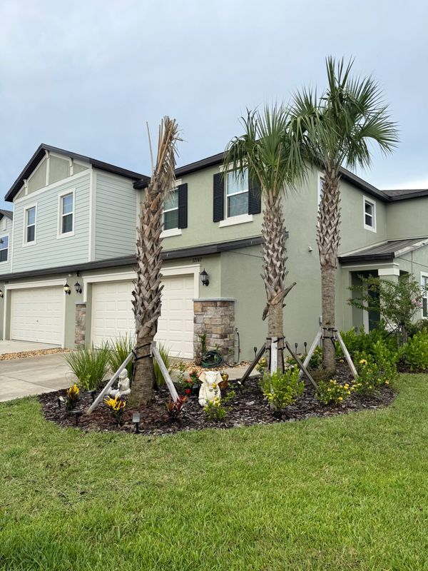 32142 Spiceberry St in San Antonio, FL - Building Photo - Building Photo