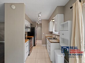 824 Rocky Rd in Fort Collins, CO - Building Photo - Building Photo
