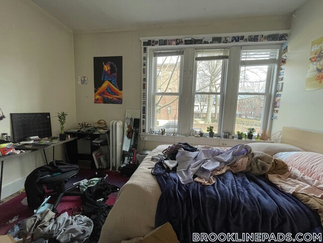 62 Egmont St in Brookline, MA - Foto de edificio - Building Photo