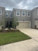 17623 Ledger Line Ln in Lutz, FL - Building Photo