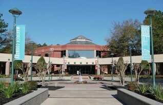 75 Summer Haze Cir in Spring, TX - Building Photo