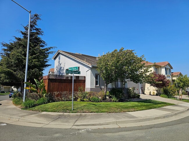 3941 Selmi Grove in Richmond, CA - Foto de edificio - Building Photo