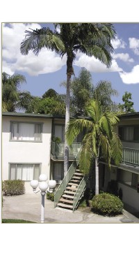 Palm Garden Apartments in Anaheim, CA - Building Photo - Building Photo